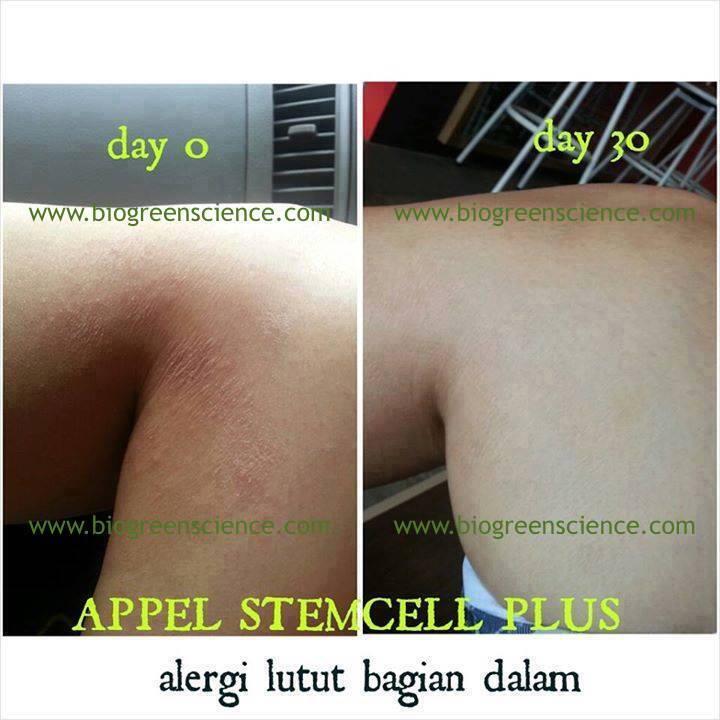 ORANG PINTAR? BISNISNYA INI! INCOME UNLIMITED BISA SAMPAI MILYARAN/BULAN
