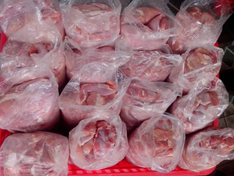 WTB Dada & Paha Ayam Filet
