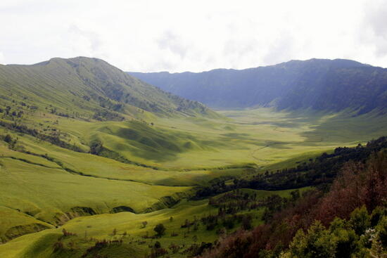 HAL YANG HARUS AGAN TAU TENTANG GUNUNG BROMO