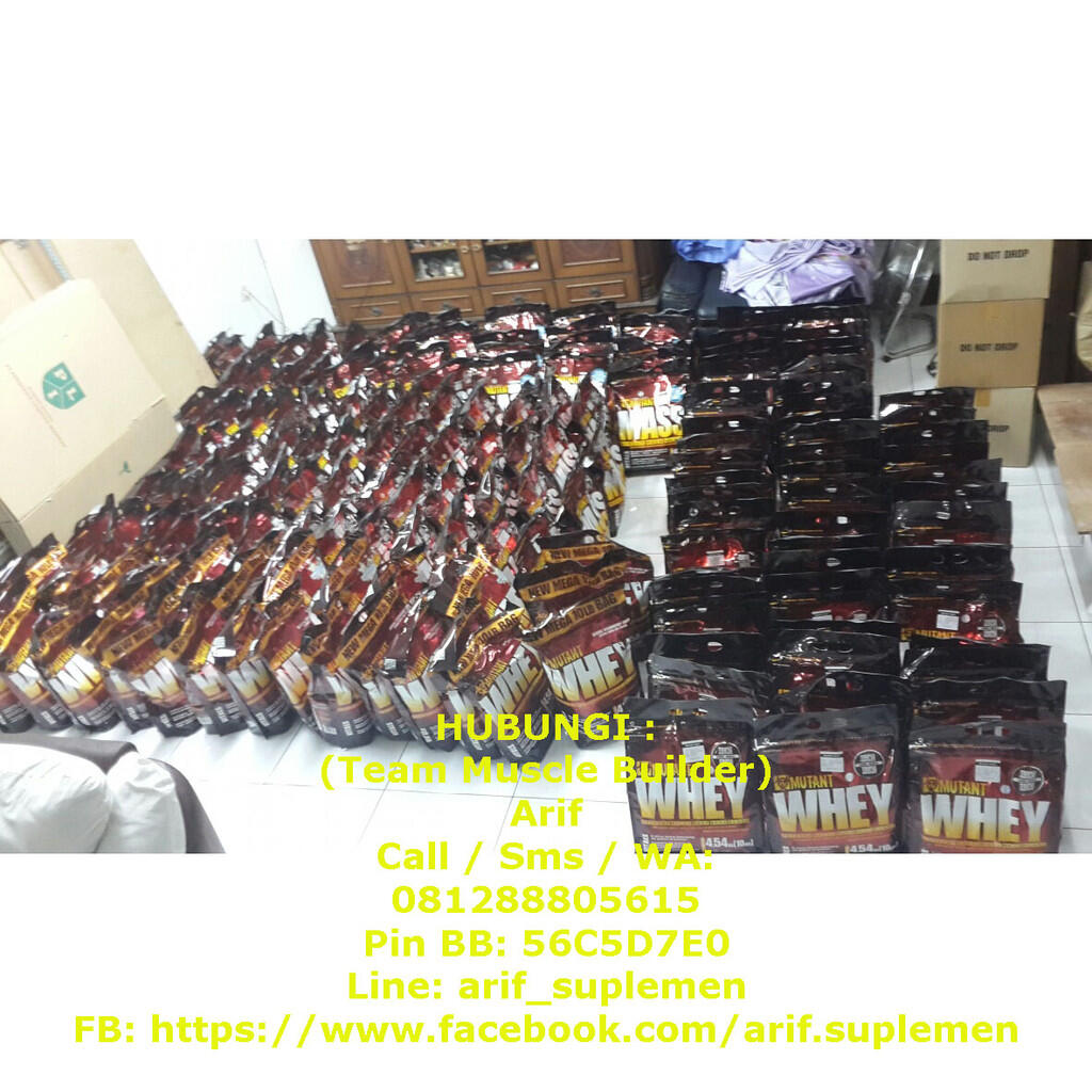 PROTEIN GAINER Kingmass Hardmass Premium Mass Truemass Iso Mass Muscle Juice