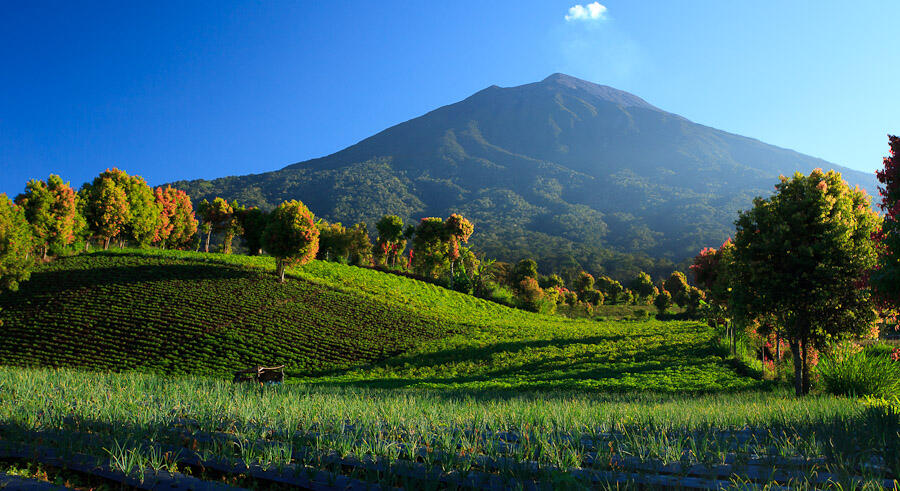 10 Alasan mengapa kita harus mendaki gunung di Indonesia