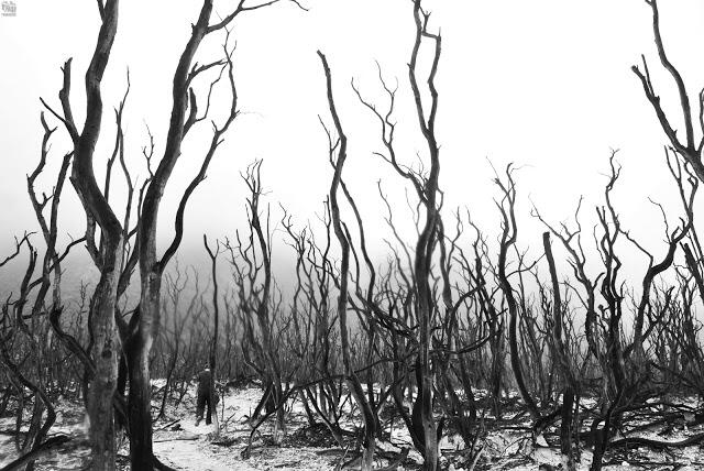 10 Alasan mengapa kita harus mendaki gunung di Indonesia