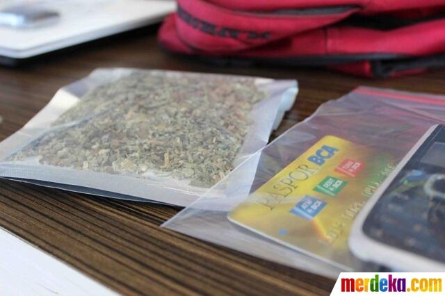 Mahasiswa di Malang Jadi Produsen Ganja, Beli Bibitnya via Online