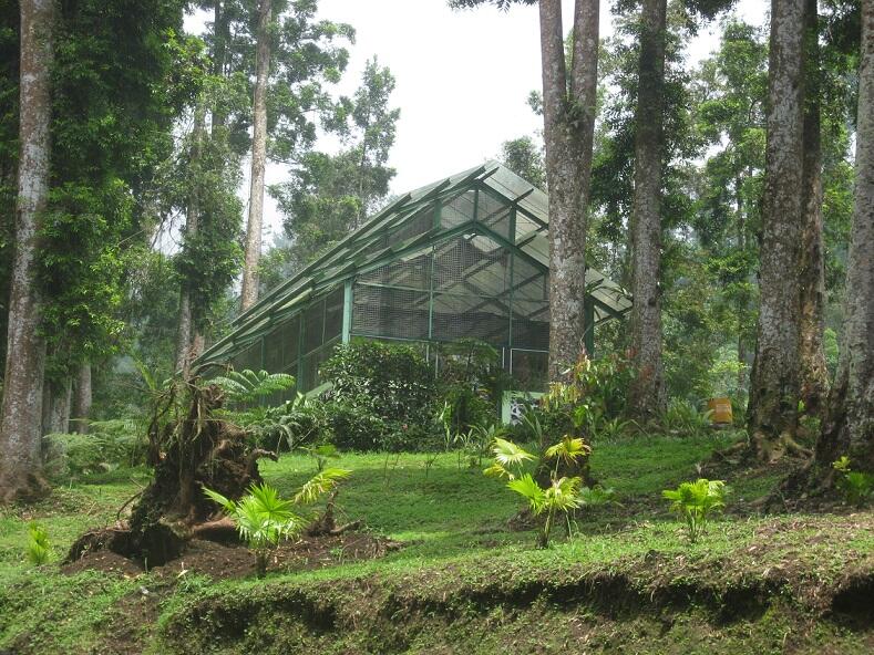 Yuk Jelajahi Kebun Raya di Indonesia....