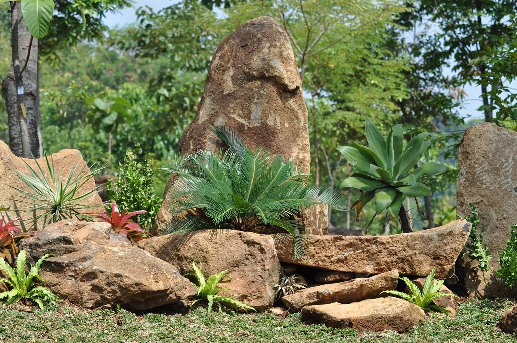 Yuk Jelajahi Kebun Raya di Indonesia....