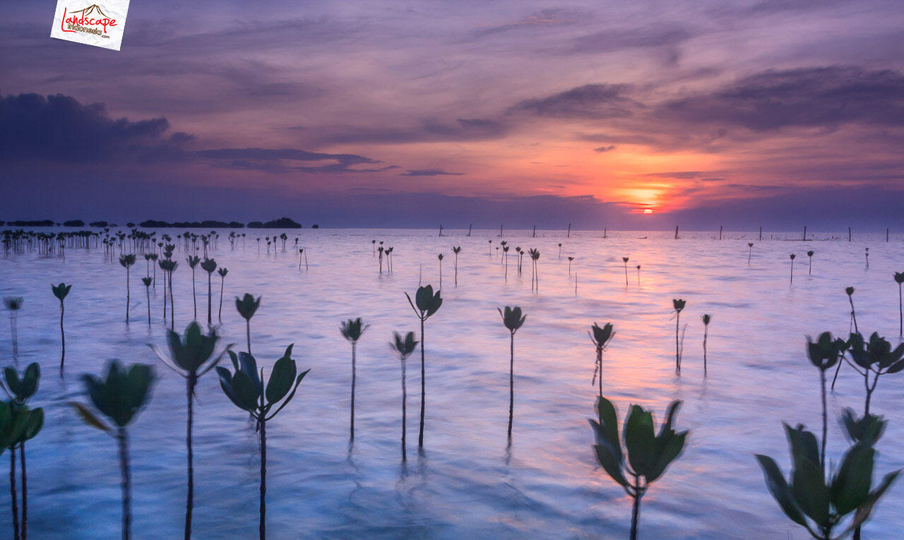 &#91;share&#93; ebook SEJENAK MELUPAKAN RUTINITAS : berkemah di pulau seribu