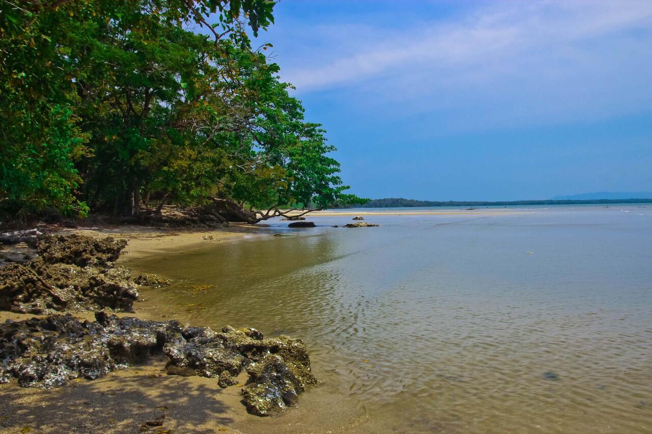 &#91;FR&#93; Bikepacking - Survival Adventure ke hutan TN Ujung Kulon