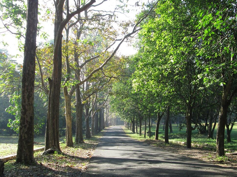 Yuk Jelajahi Kebun Raya di Indonesia....