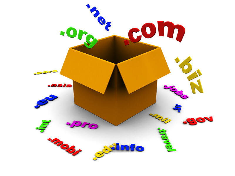 PENGERTIAN DASAR DOMAIN &amp; HOSTING