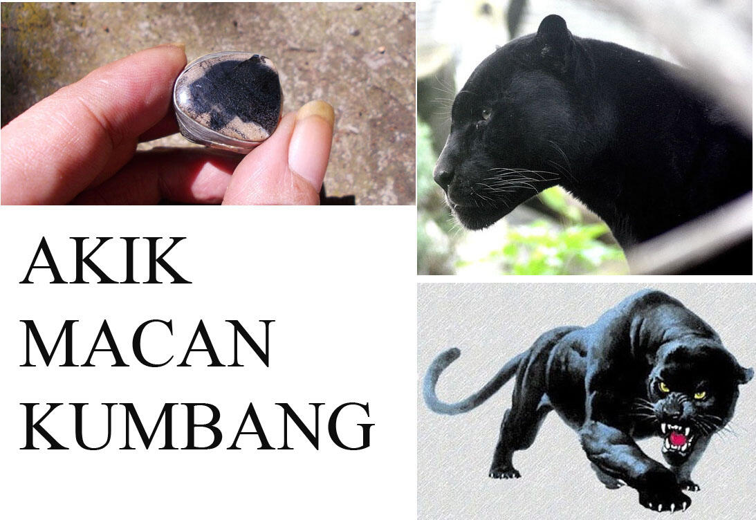 Akik Macan Kumbang