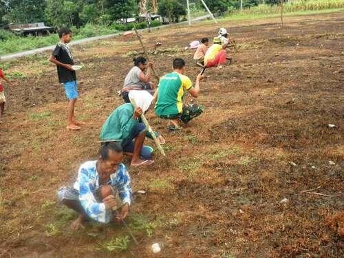 Tentara ini Tak Hanya Tangguh Jaga Perbatasan di NTT, Tapi Sukses Bina Petani 