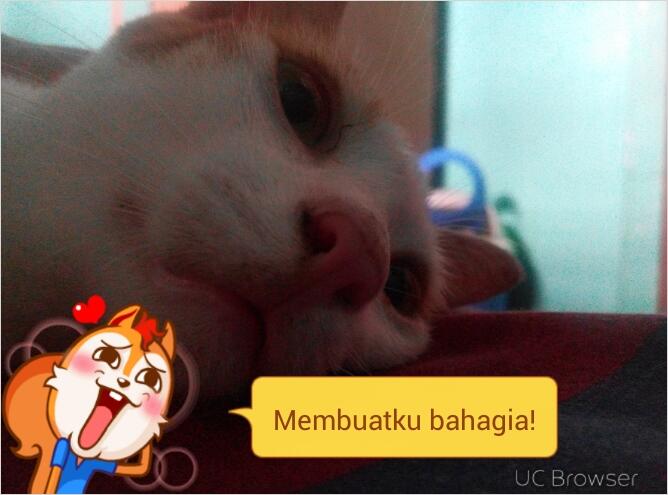 &#91;PIC&#93; Kira-kira Kucing Ane Mimpi Apa ya Gan Sampe Posisi Tidurnya Kaya Gini??