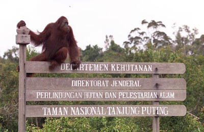 INILAH TAMAN-TAMAN NASIONAL KITA GAN, KUNJUNGI YUK!