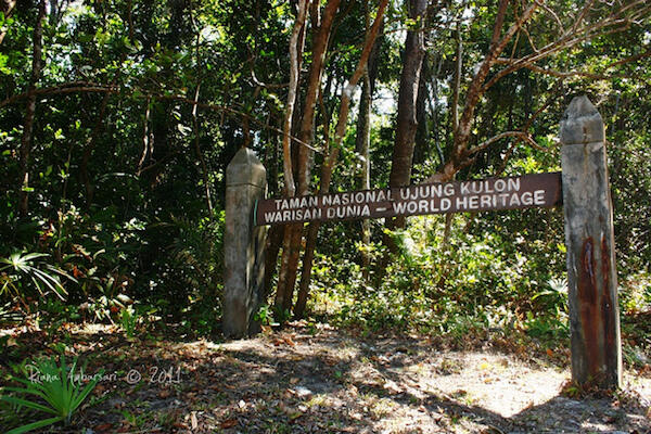 INILAH TAMAN-TAMAN NASIONAL KITA GAN, KUNJUNGI YUK!
