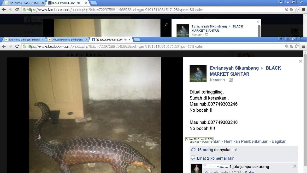 Ane nemu di FB gan, sumpah kejam sekali dia