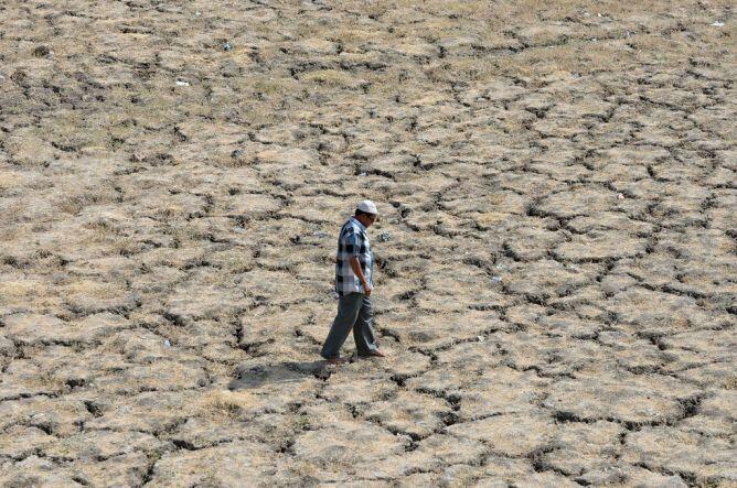 Korban Tewas Gelombang Panas India Lampaui 2.000 Jiwa