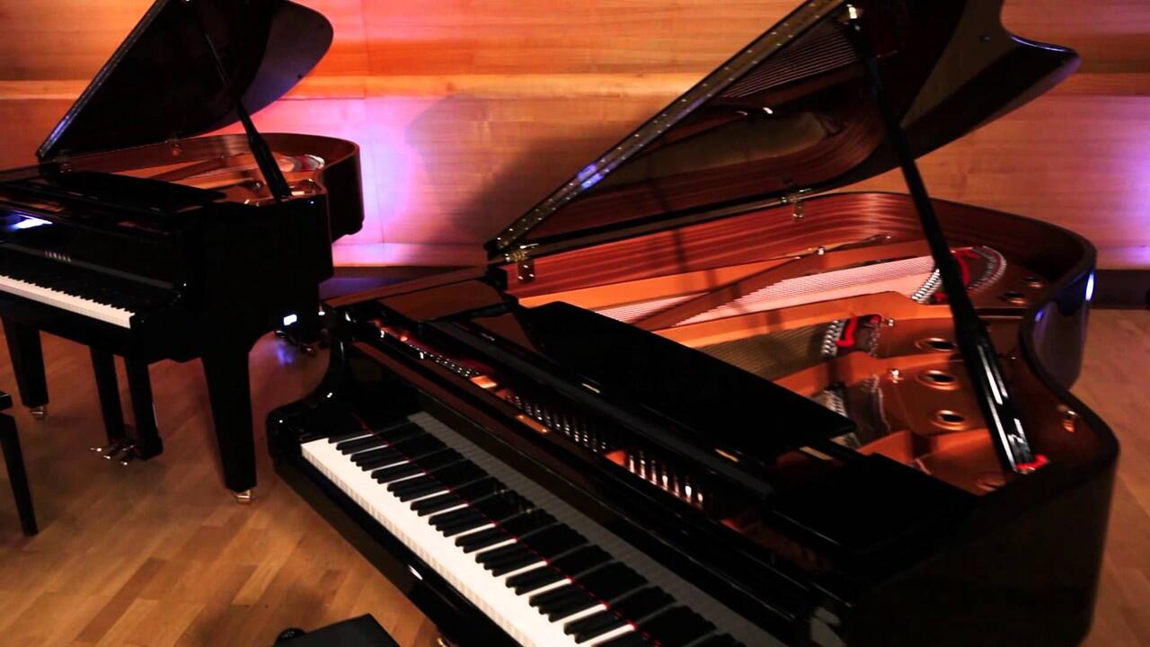 5 Alat Musik Yg Hampir Mirip Range Vokal Manusia