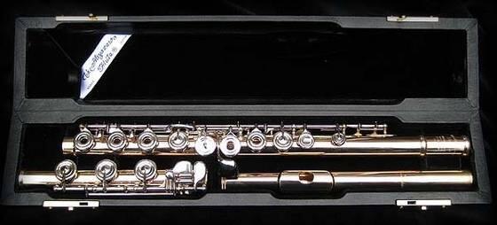 5 Alat Musik Yg Hampir Mirip Range Vokal Manusia