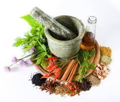 BAMBU dan Manfaat BAMBU untuk kehidupan Manusia