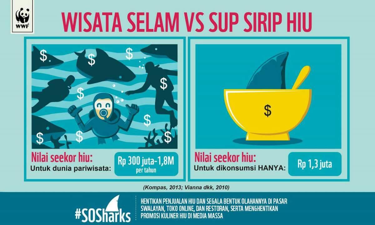 HIU, Sangar dan Mematikan, tapi Rapuh dan Butuh Perhatian