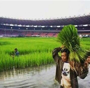 Kumpulan PIC GBK Sotosop (Akibat Sanksi FIFA)