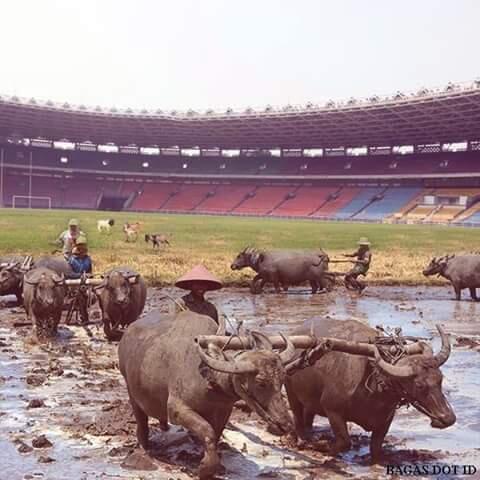 Kumpulan PIC GBK Sotosop (Akibat Sanksi FIFA)