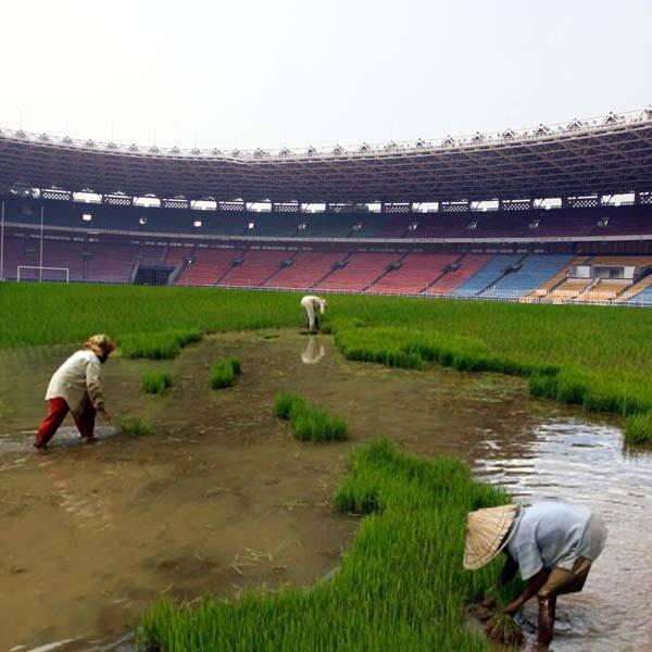 Kumpulan PIC GBK Sotosop (Akibat Sanksi FIFA)