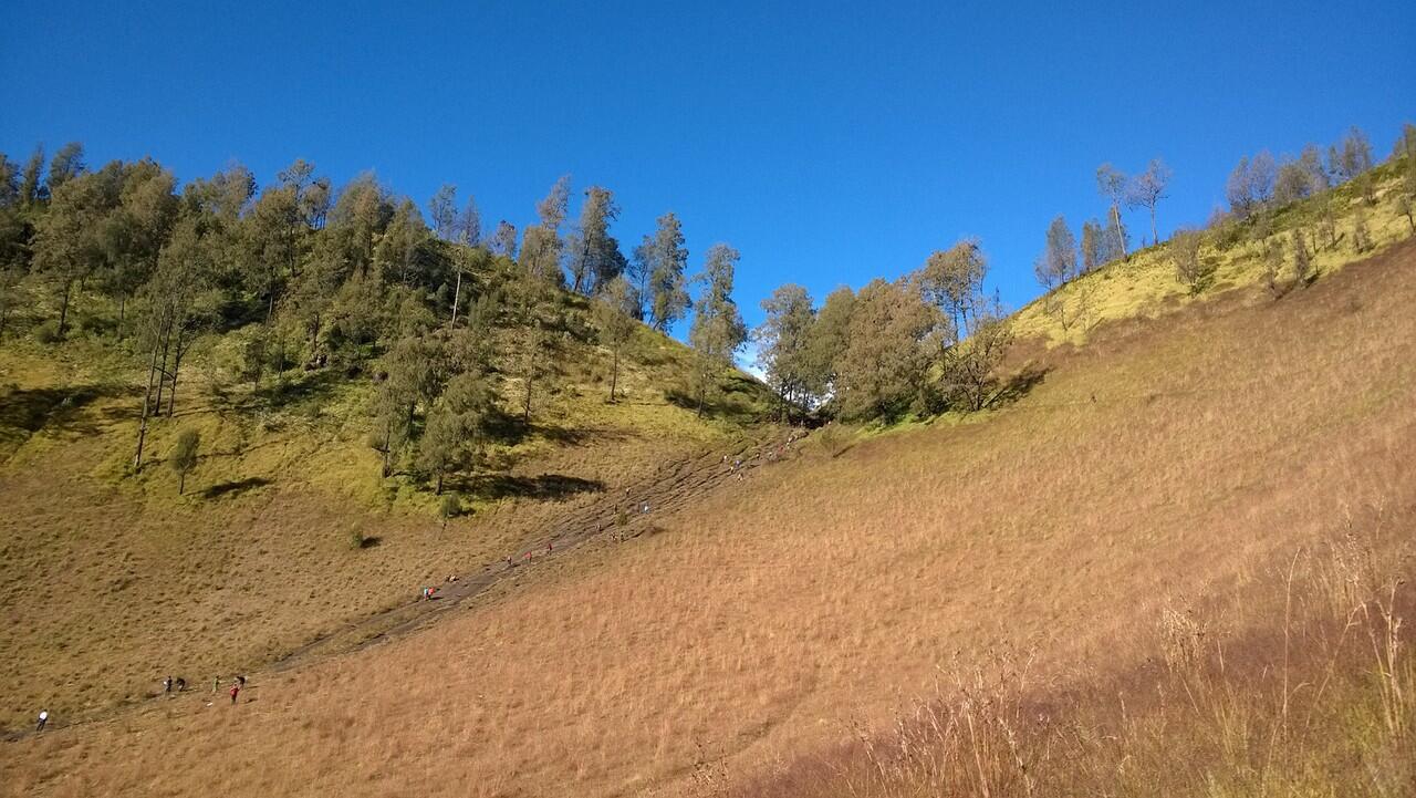 &#91;Field Report&#93; MT.SEMERU FUN HIKE 28 Mei 2015 - 3 Juni 2015 (Gn. Semeru)