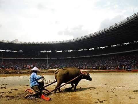 Sanksi Fifa: Stadion GBK dibikin bahan edit (PIC)