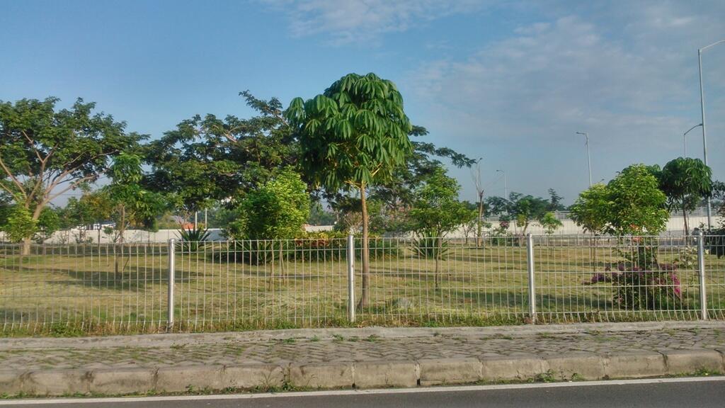 Sisi lain dan sisi ujung surabaya (oleh-oleh sepedaan tadi)
