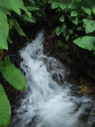 OneDayTrip™ - Curug Cipanunda