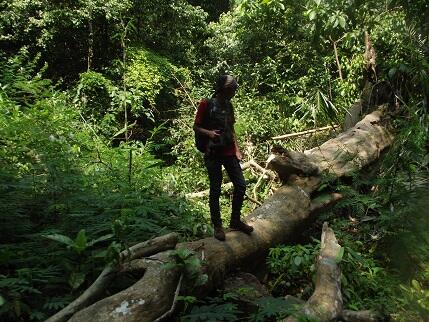 OneDayTrip™ - Curug Cipanunda