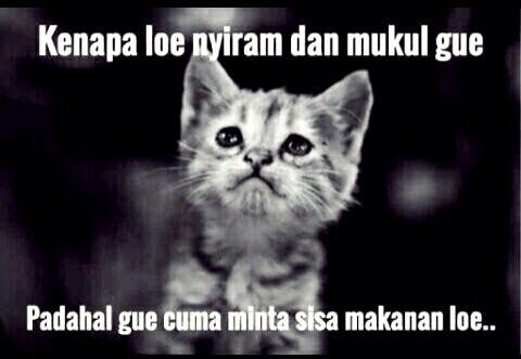 Apa sih quotes itu?