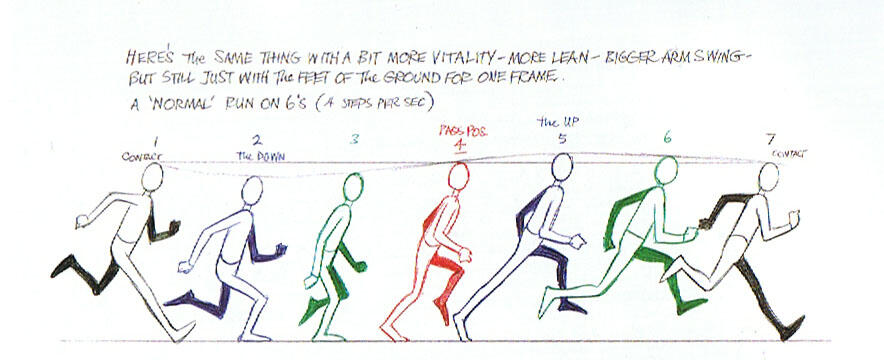 Animation Study Guidances