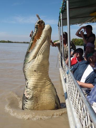 Agan Mau Liburan ke Australia? Australia Tempat Berbahaya Lho, Ini Buktinya!