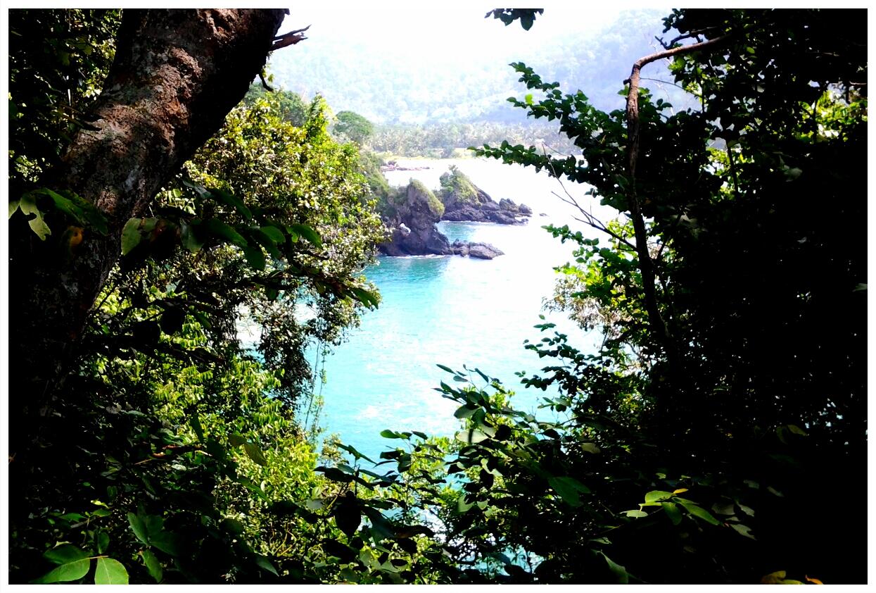 Surga Tersembunyi Bayuwngi - Teluk Ijo - Green Bay