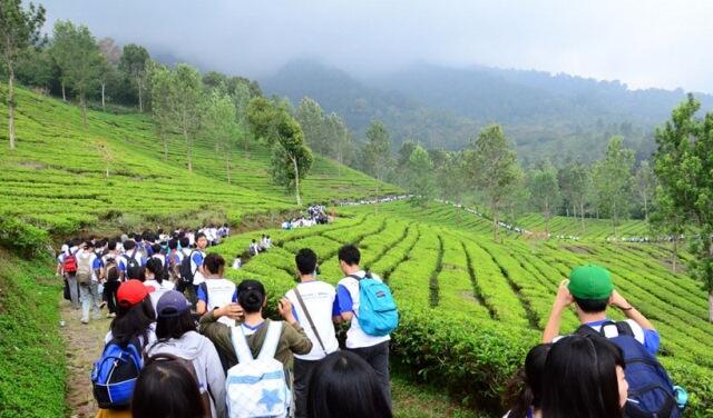 Hal Terpikirkan Ketiga Agan Wisata Ke Puncak Bogor JawaBarat