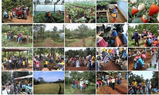  Partner kerjasama di bidang Pertanian,Peternakan,Perkebunan.