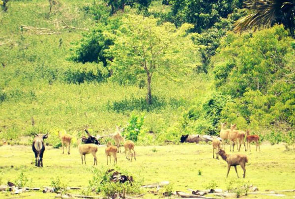 Kamu Pasti Belum Tahu 7 Tempat Wisata Tersembunyi Nan Indah di Jawa Timur Ini!