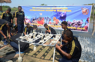 Save Our Littoral Life, Selamatkan Terumbu Karang Indonesia Bersama Marinir TNI AL