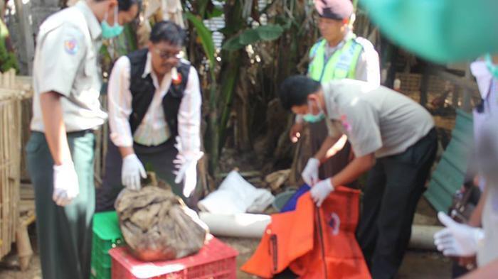 Fakta Di Balik Kematian Angeline