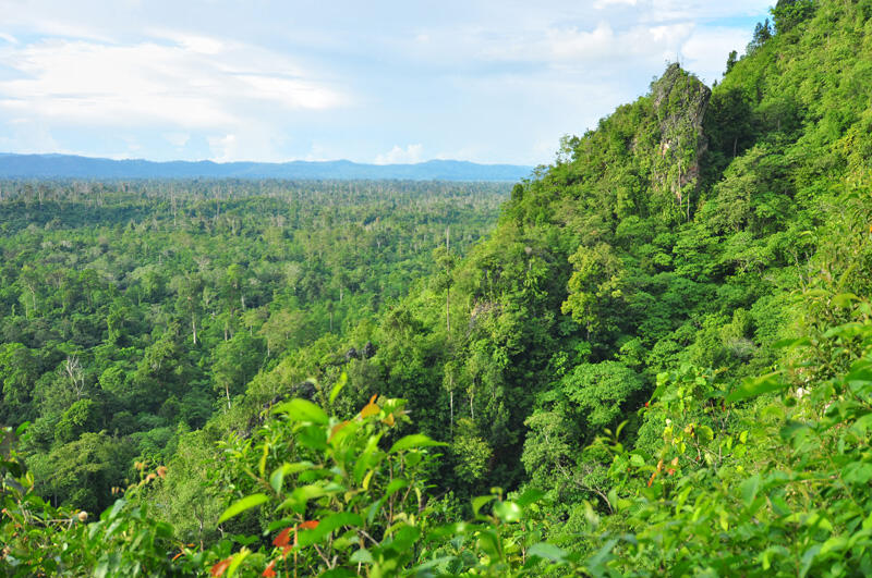 10 Fakta Unik Provinsi Kalimantan Selatan