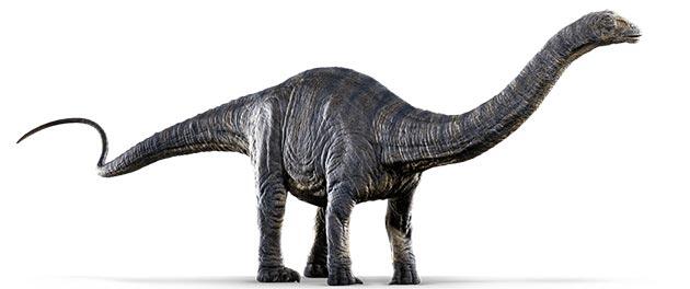 5 Jenis Dinosaurus Yang Mesti Kamu Tau Di Film Jurassic World