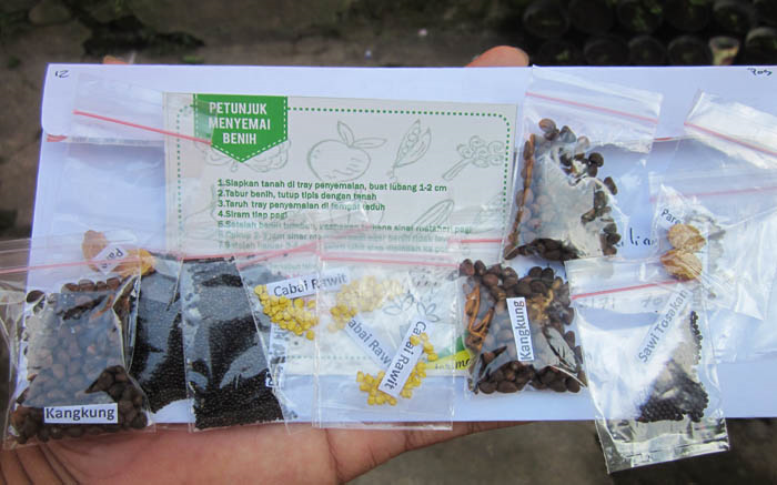 Jual Benih/Biji Sayur Eceran Rp 1000 Murah-Meriah (Solo)