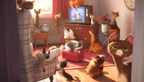 The Secret Of Pets, Inilah Sifat Asli Hewan Piaraan Ketika Ditinggal Majikan di Rumah