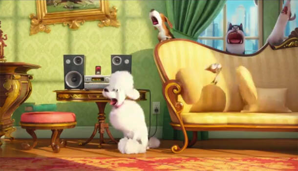 The Secret Of Pets, Inilah Sifat Asli Hewan Piaraan Ketika Ditinggal Majikan di Rumah