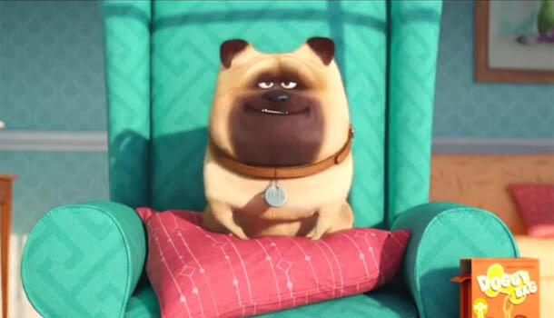 The Secret Of Pets, Inilah Sifat Asli Hewan Piaraan Ketika Ditinggal Majikan di Rumah
