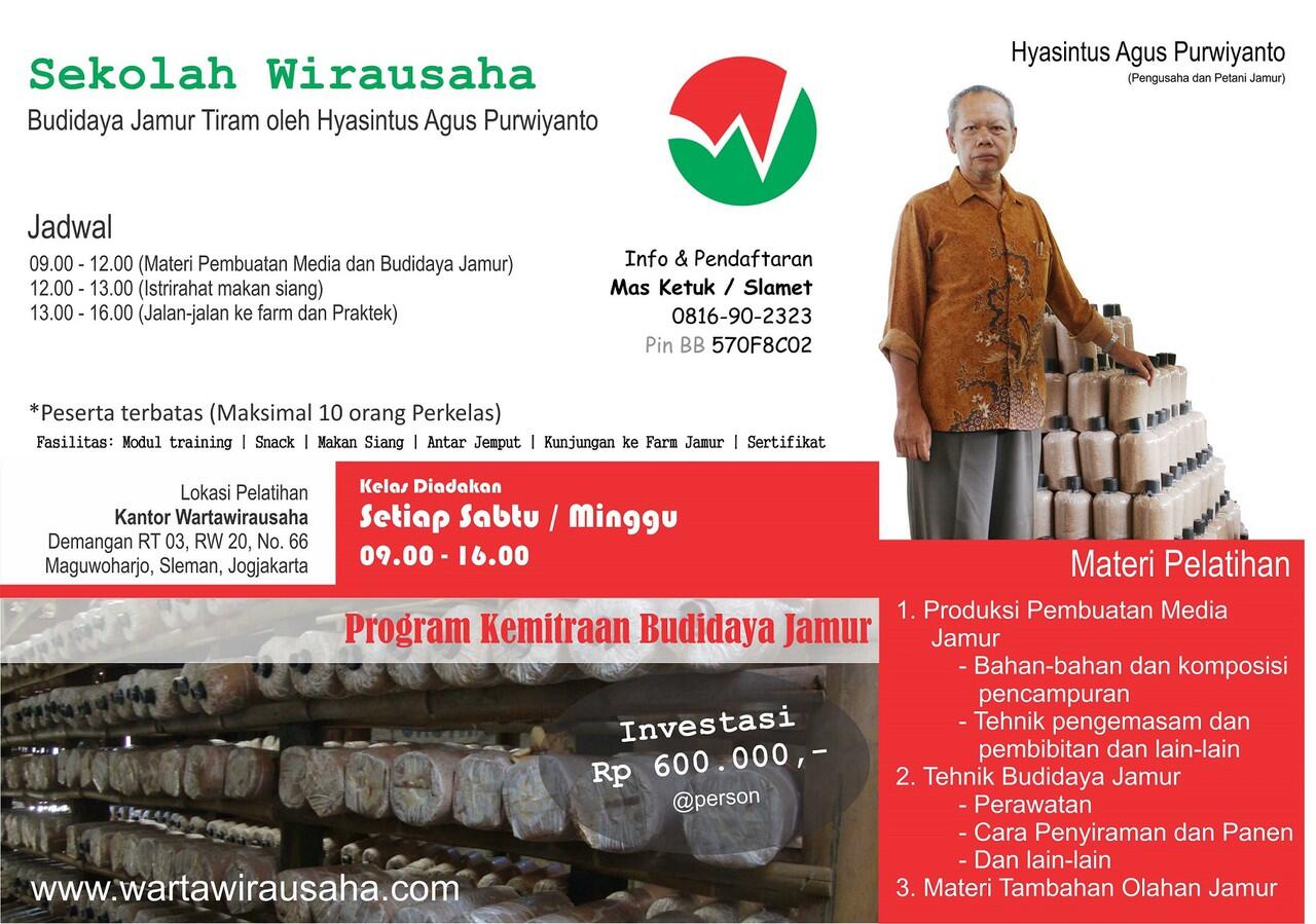 Dicari Serius Calon Pengusaha Budidaya Jamur Tiram yang Ingin Sukse