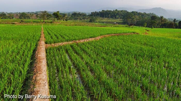 Kota Cirebon Menyimpan Keunikan dan Keindahan.