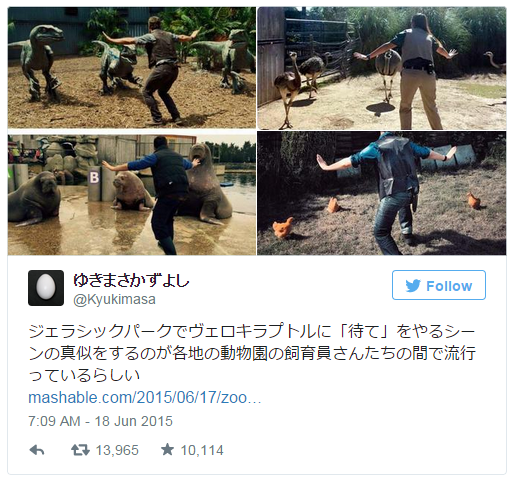 Parodi Adegan Melatih Raptor ‘Jurrasic World' (Spoiler Inside )